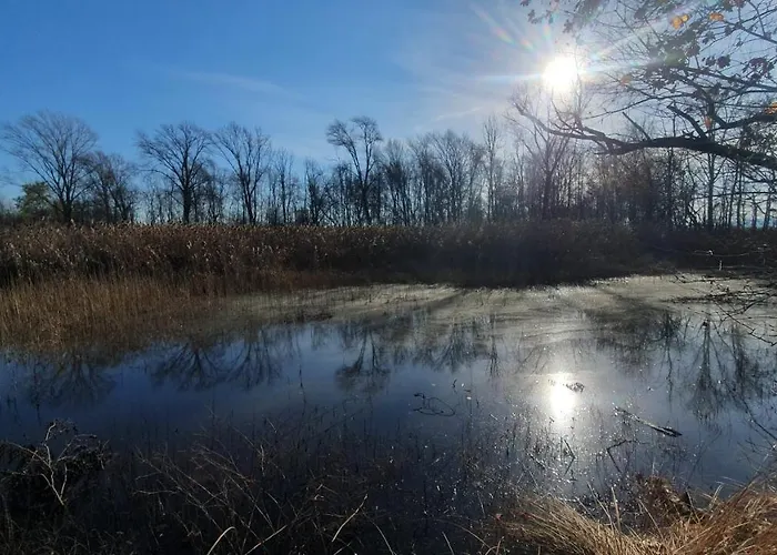 Contrada D'amore Angera